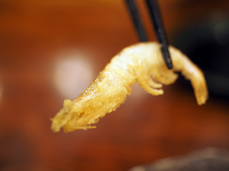 P9150200_thumb.png