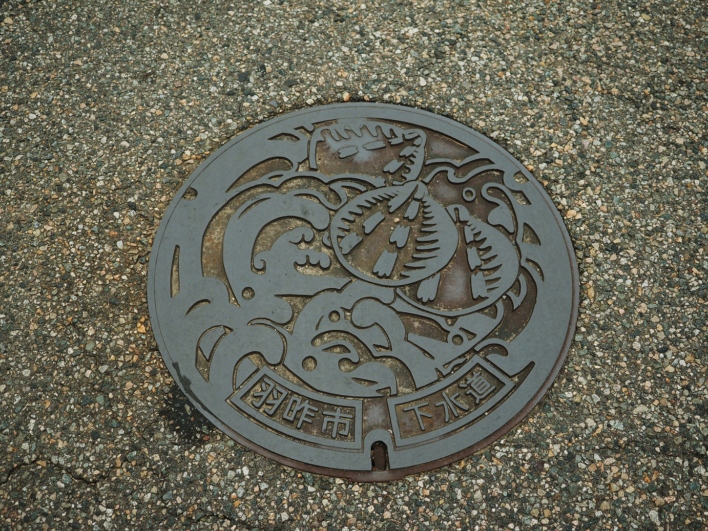 P9160206.jpg