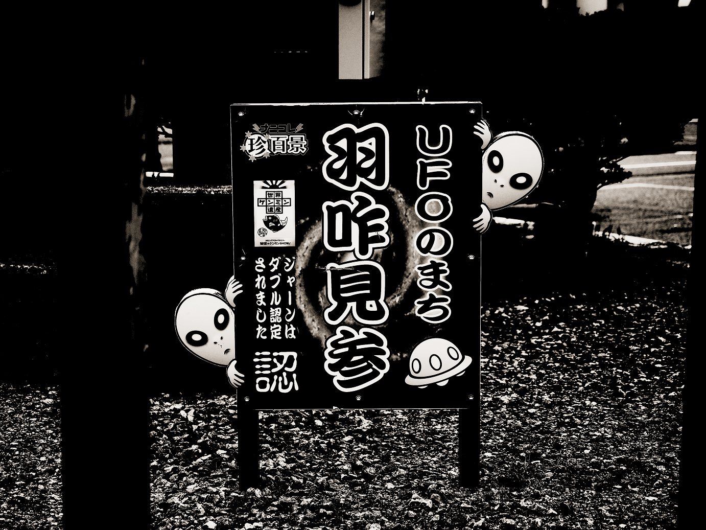 P9160224-.jpg