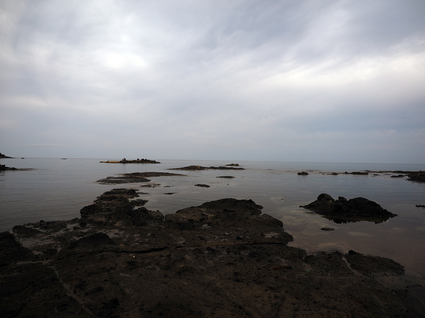 P9160259.jpg