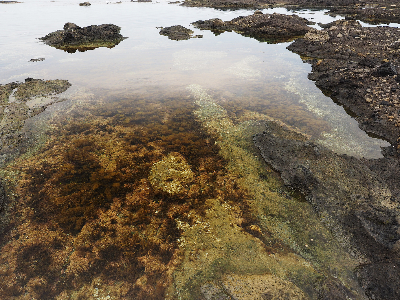 P9160262.jpg