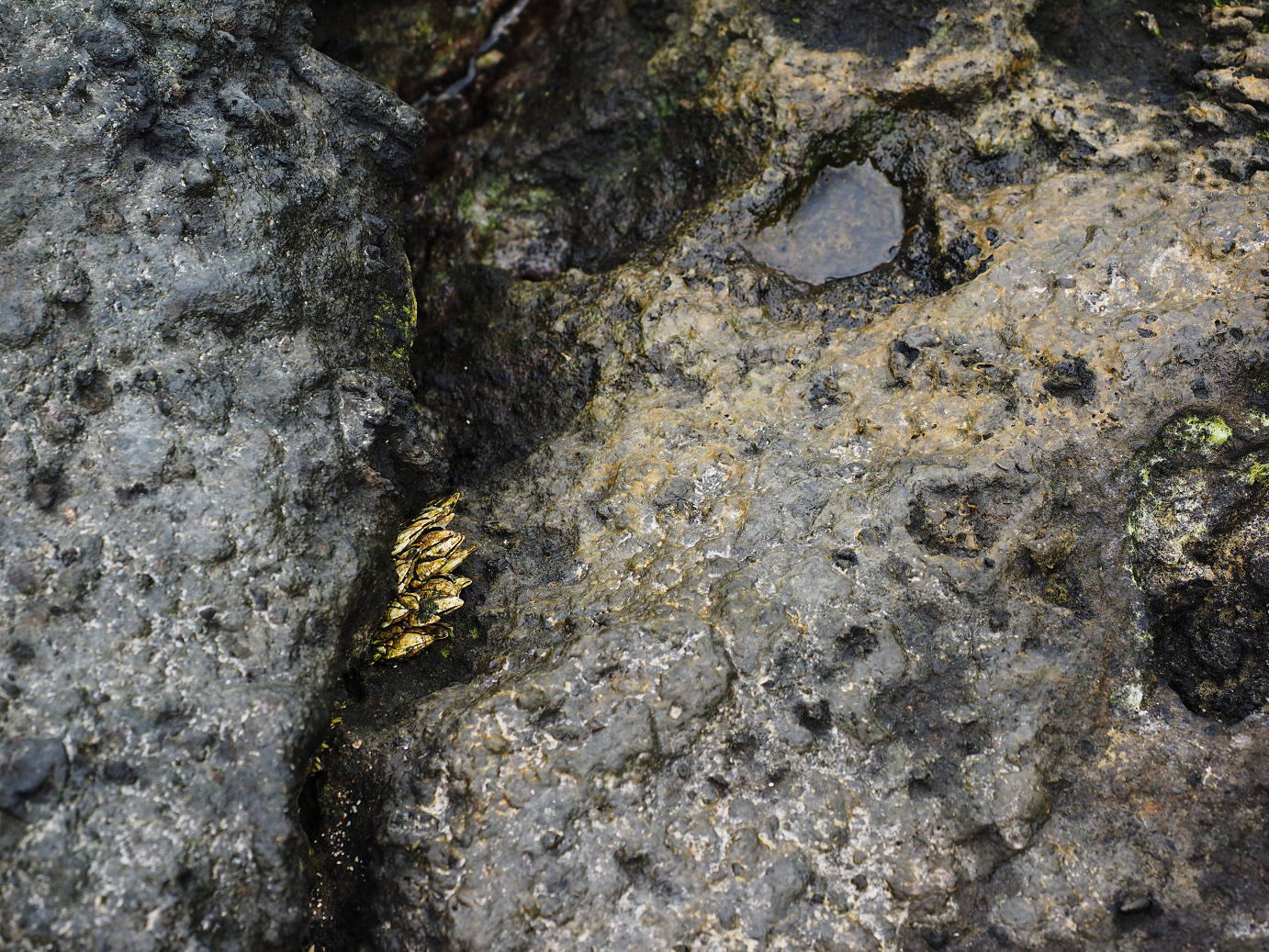 P9160266.jpg