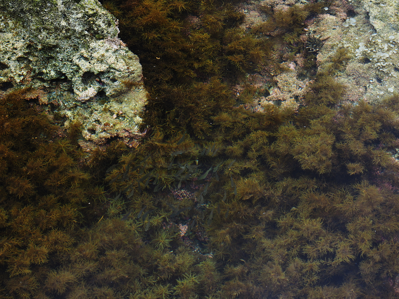 P9160267.jpg