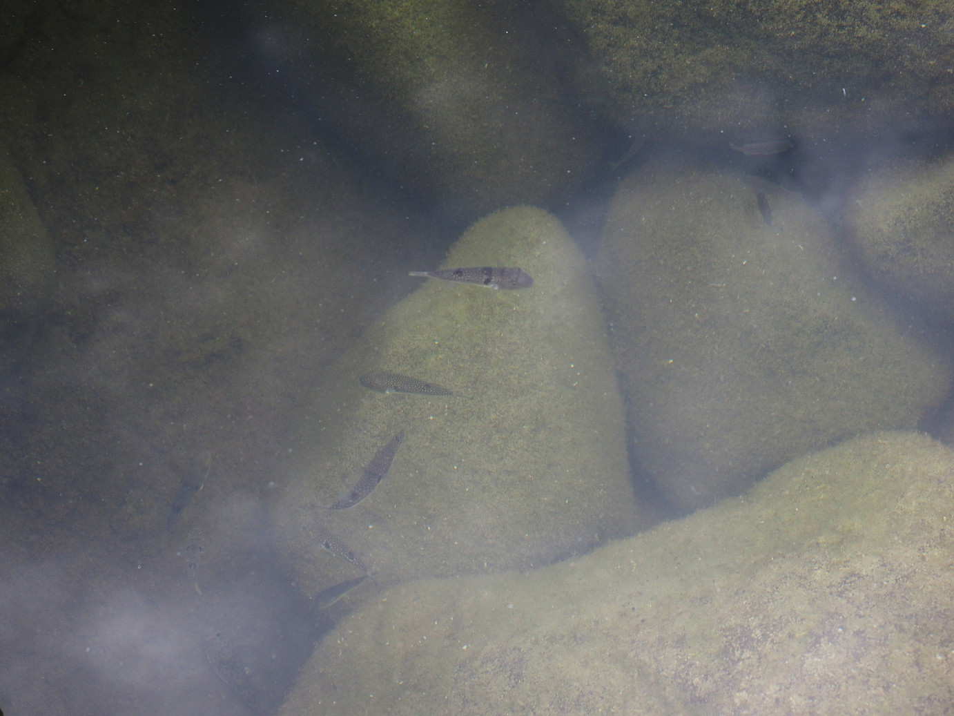 P9160271.jpg