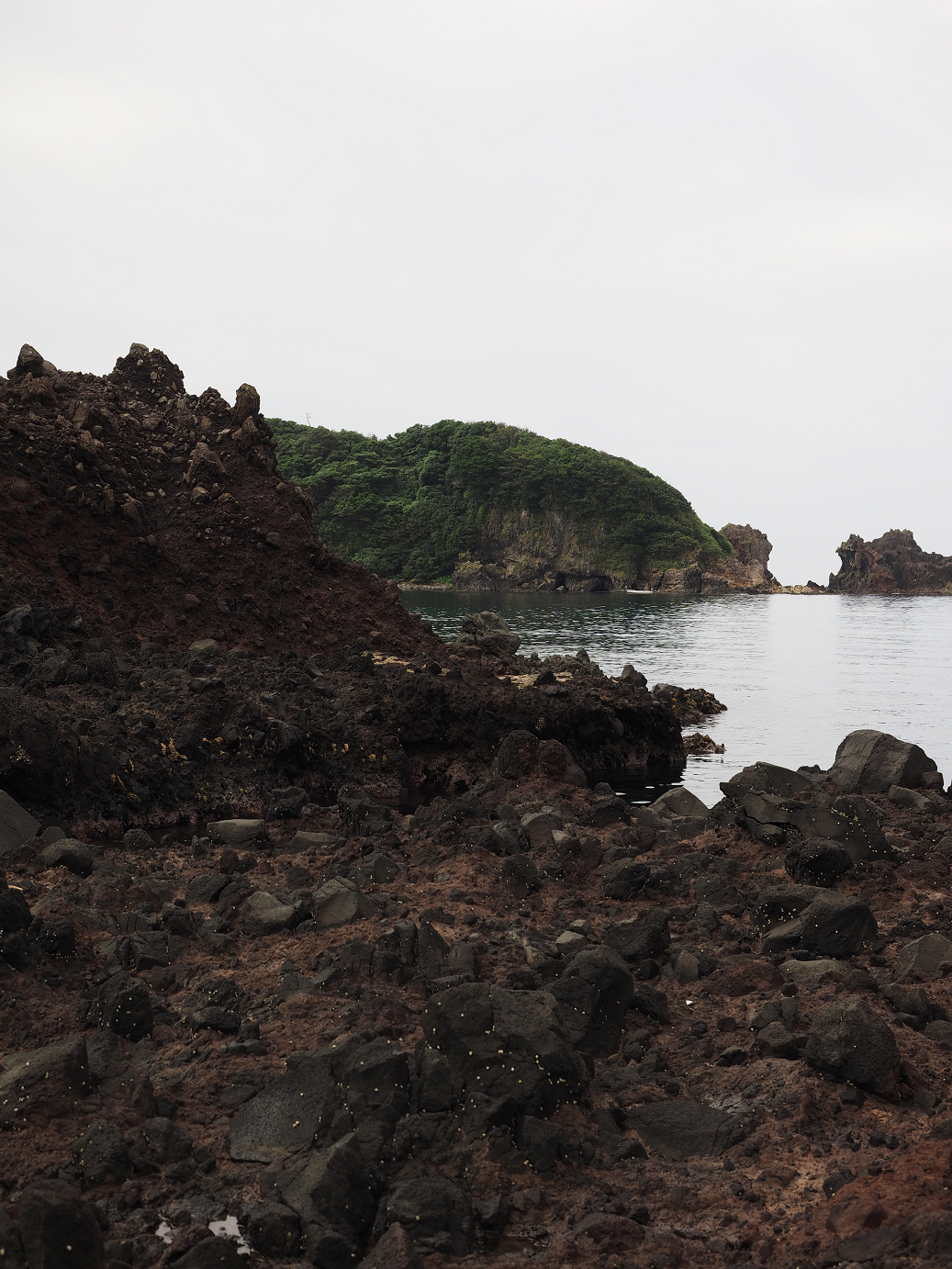 P9160277.jpg