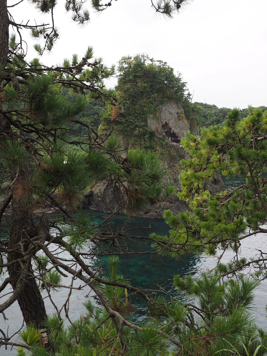 P9160322.jpg