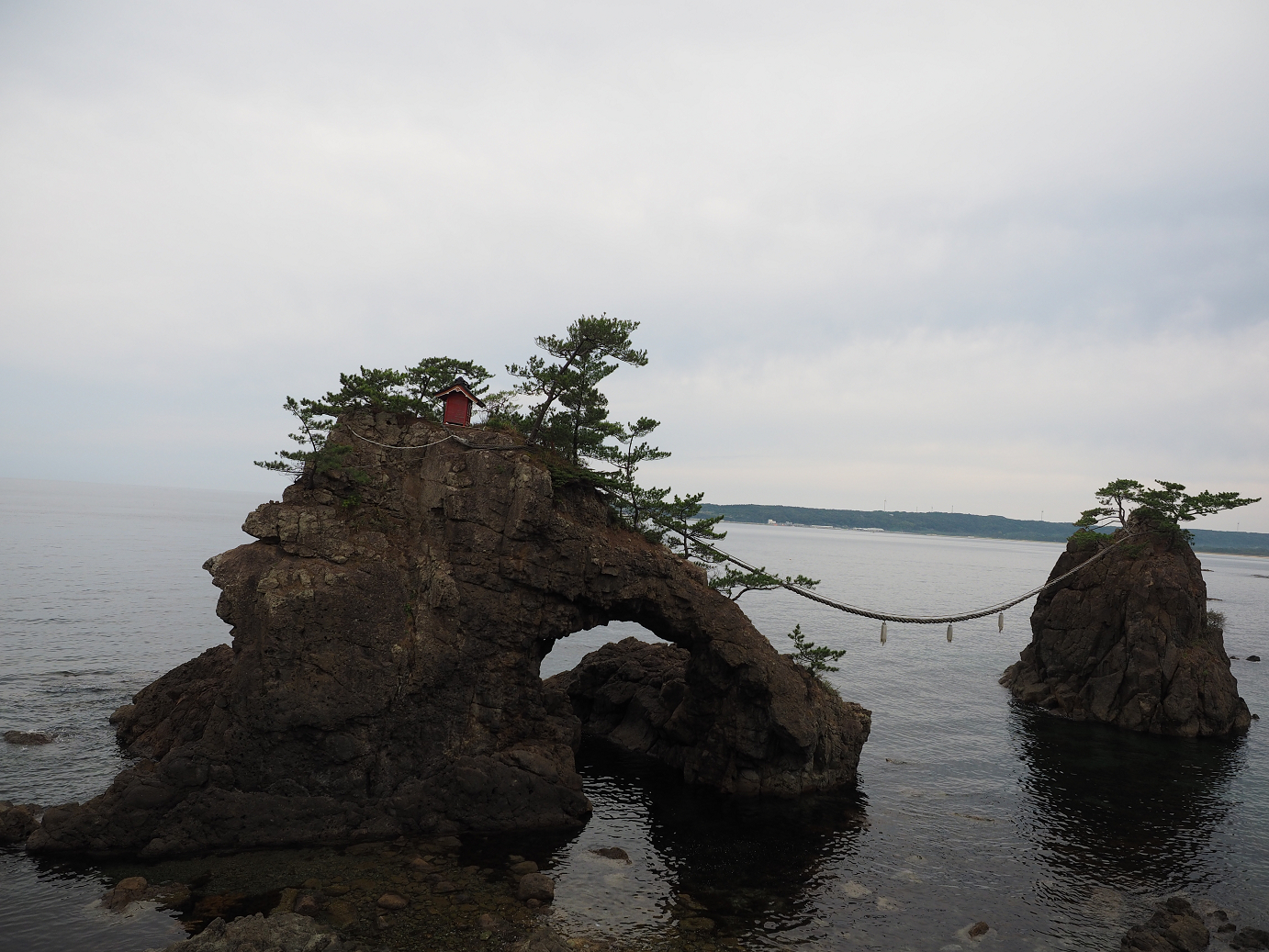 P9160334.jpg