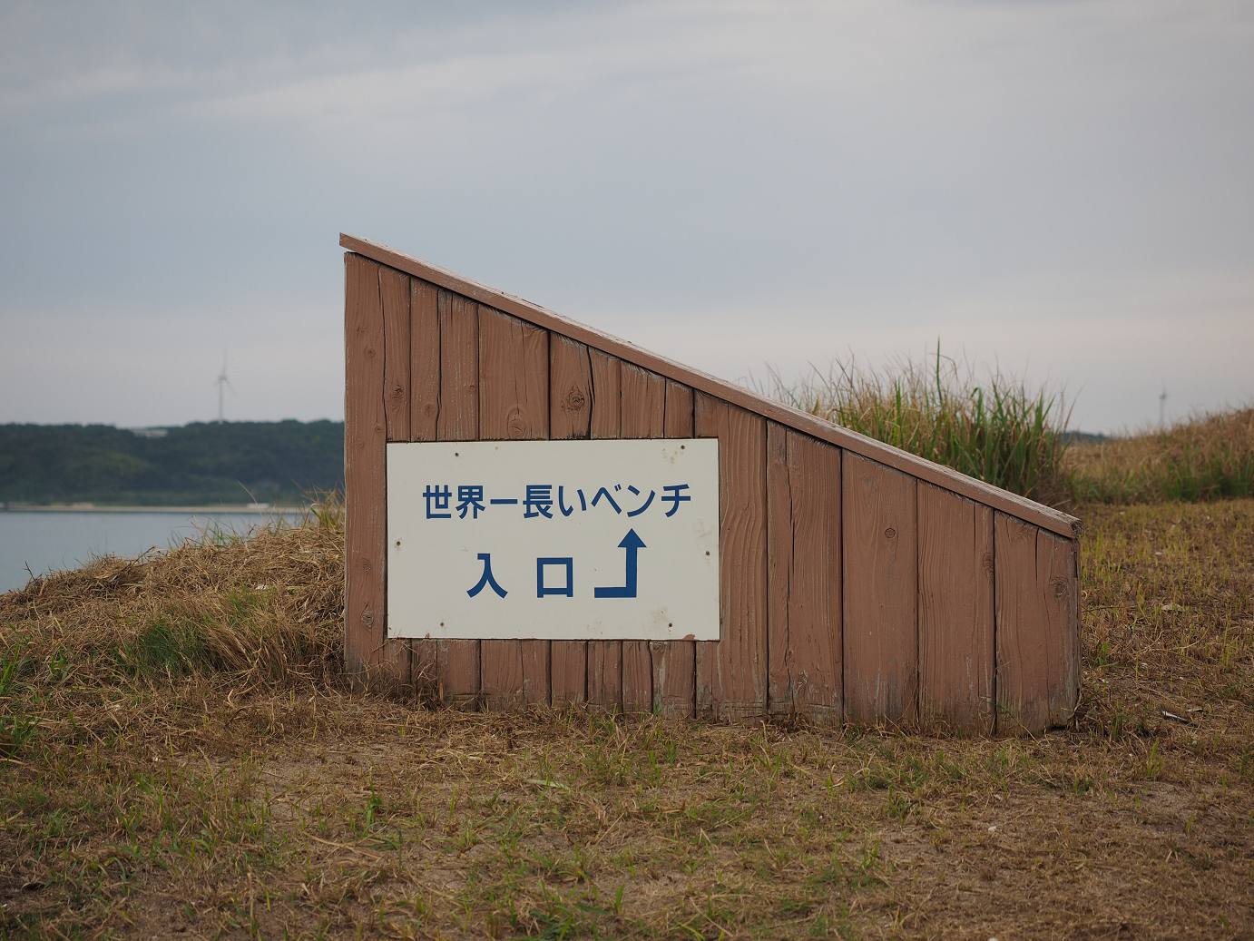 P9160337.jpg