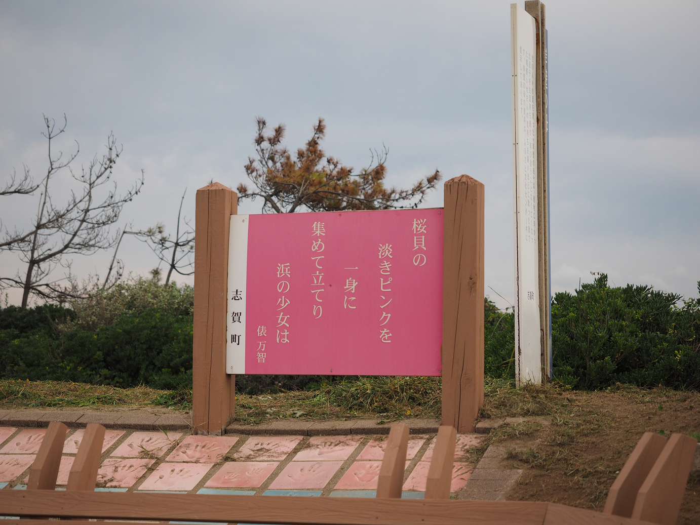 P9160351.jpg