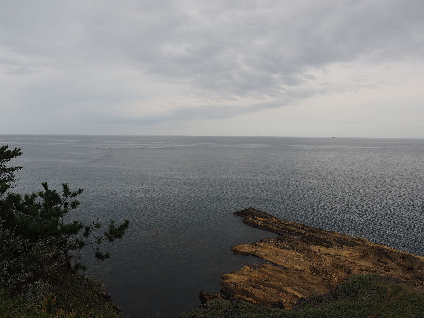 P9160431.jpg