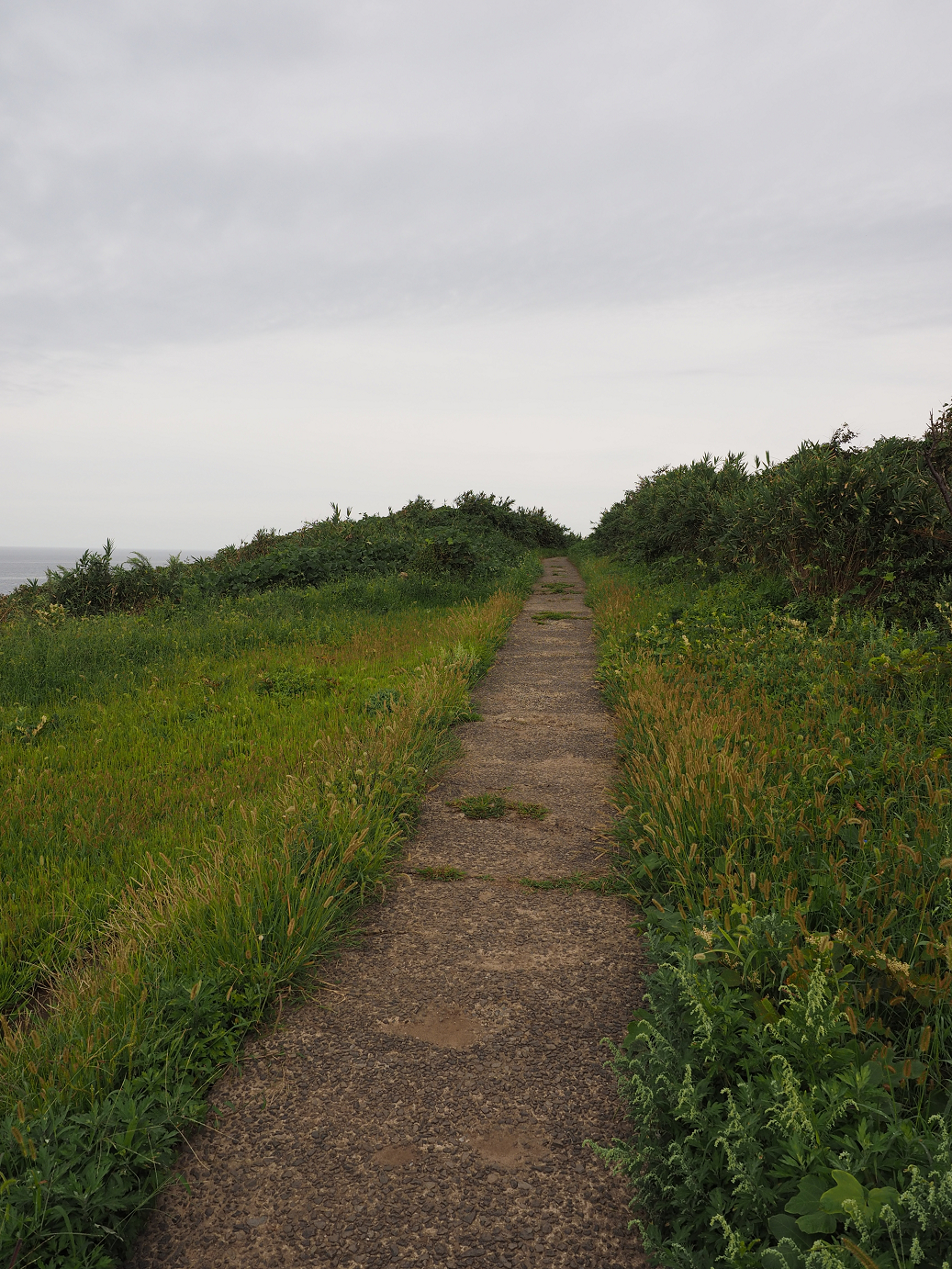 P9160436.jpg