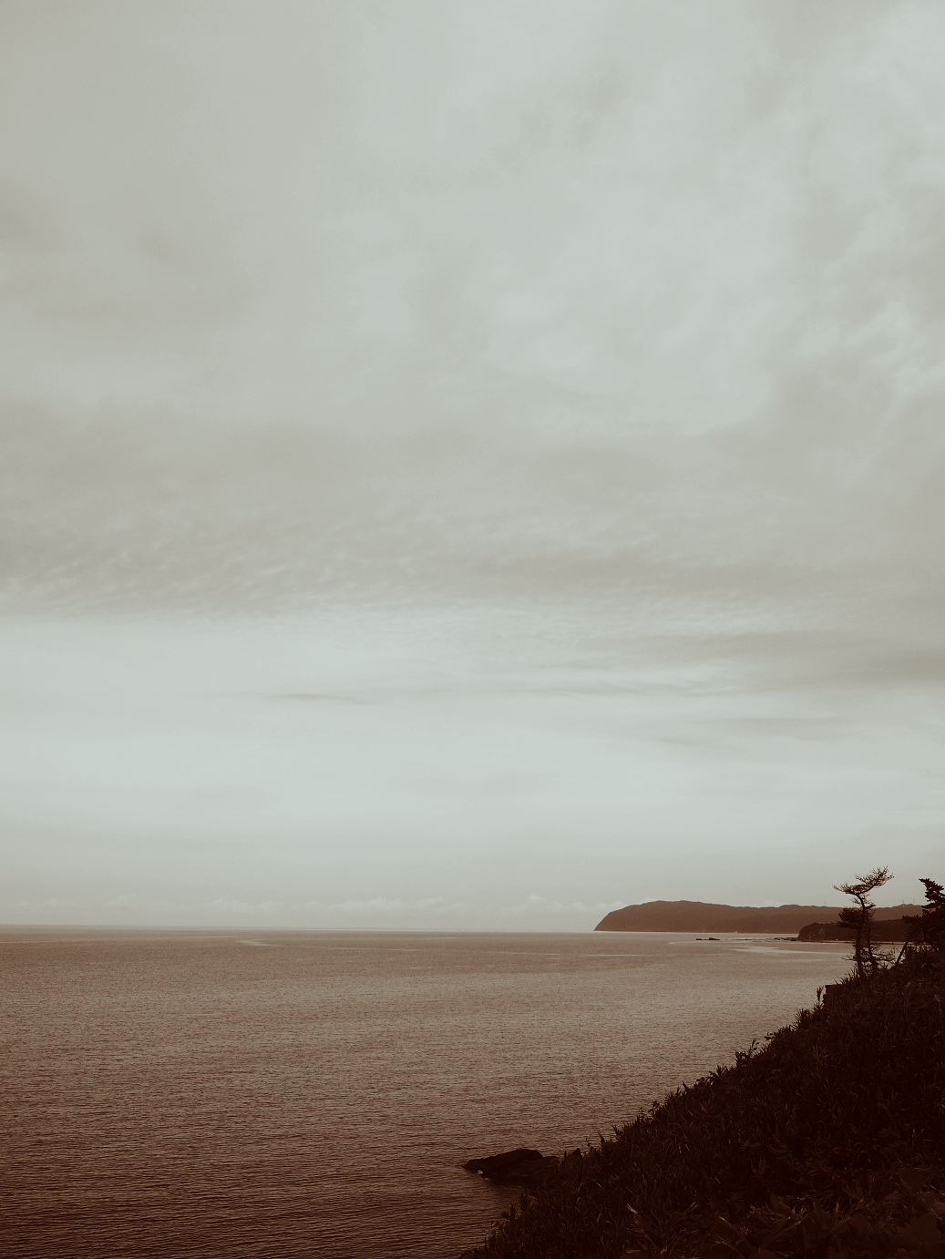 P9160440.jpg