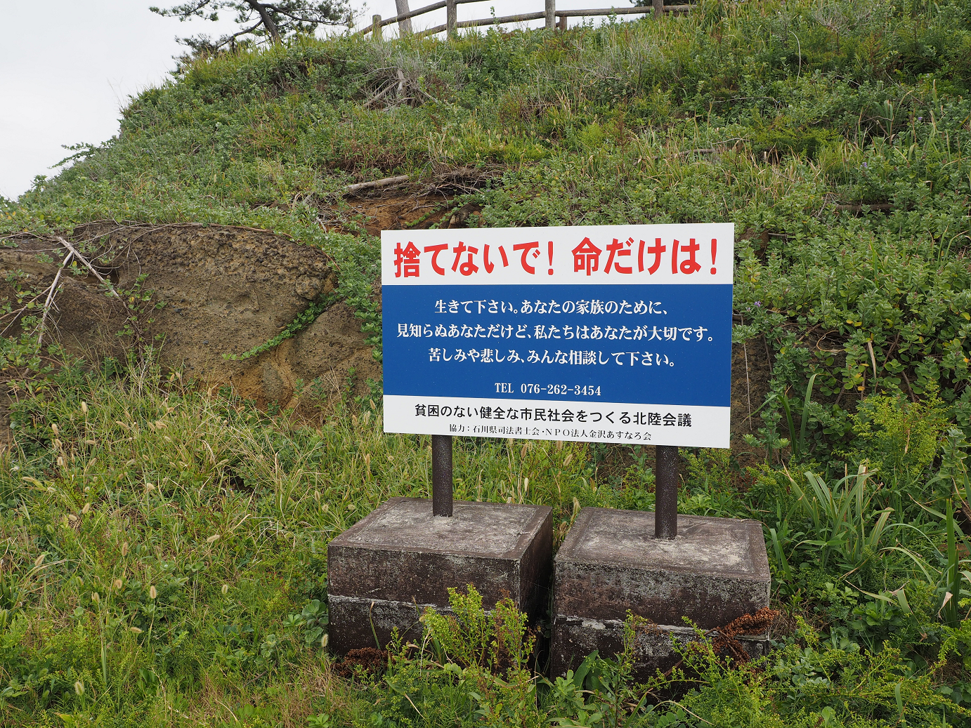 P9160447.jpg