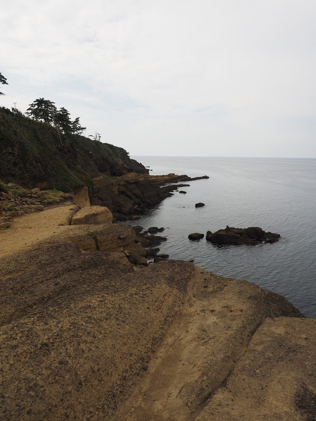 P9160452.jpg