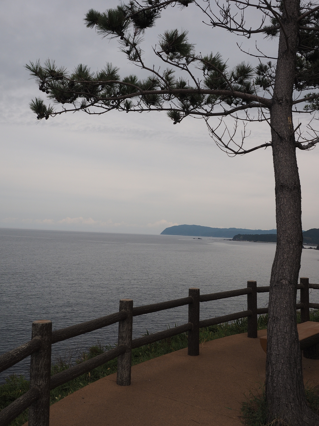P9160455.jpg