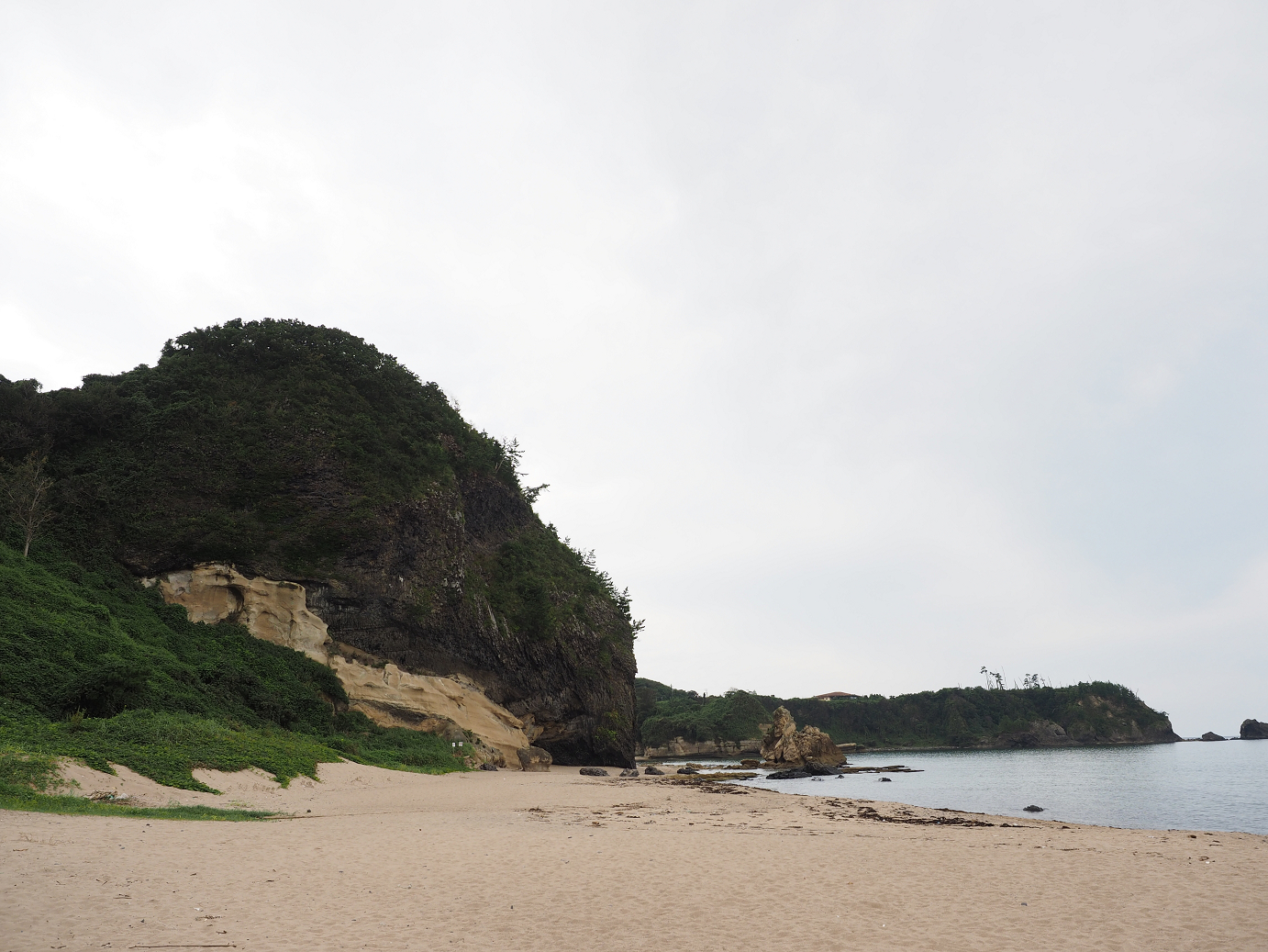 P9160464.jpg