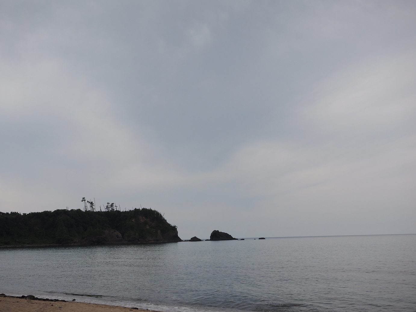P9160466.jpg