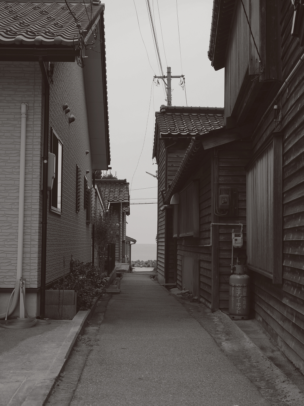 P9160477-.jpg