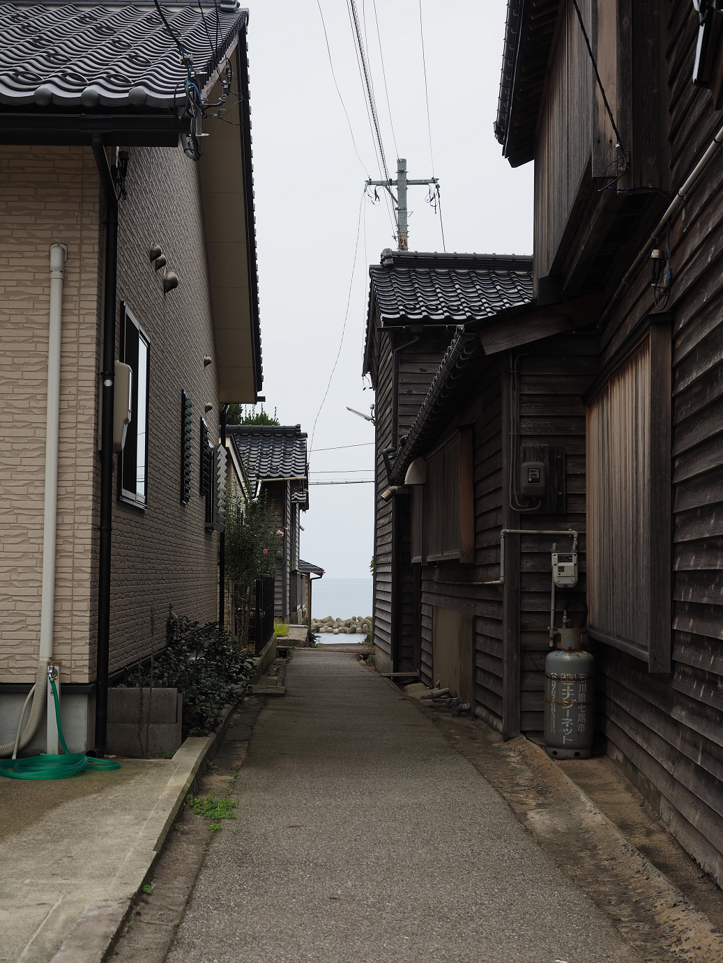 P9160477.jpg