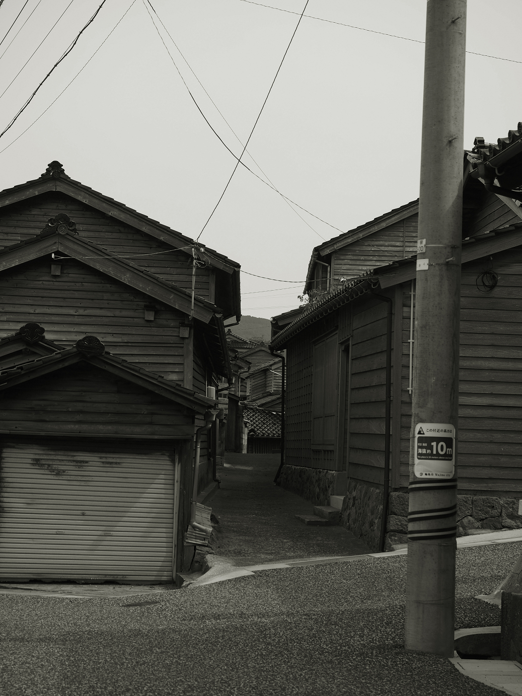 P9160484-.jpg