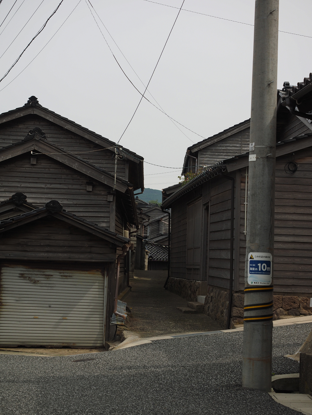 P9160484.jpg