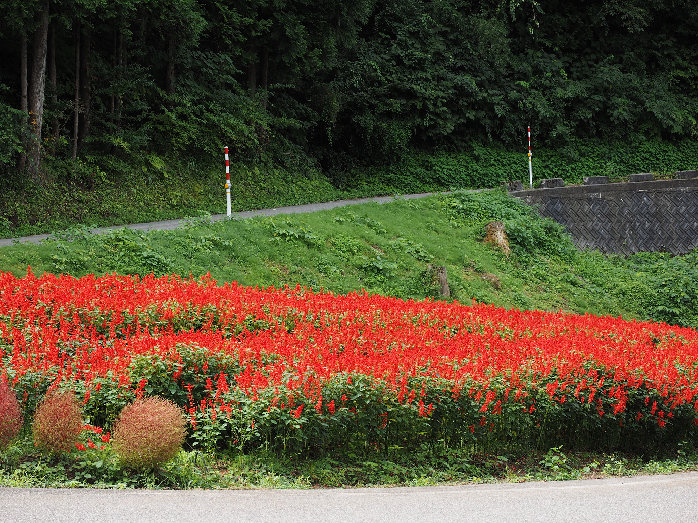 P9160494.jpg