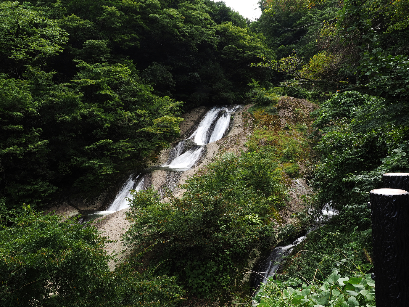 P9160514.jpg
