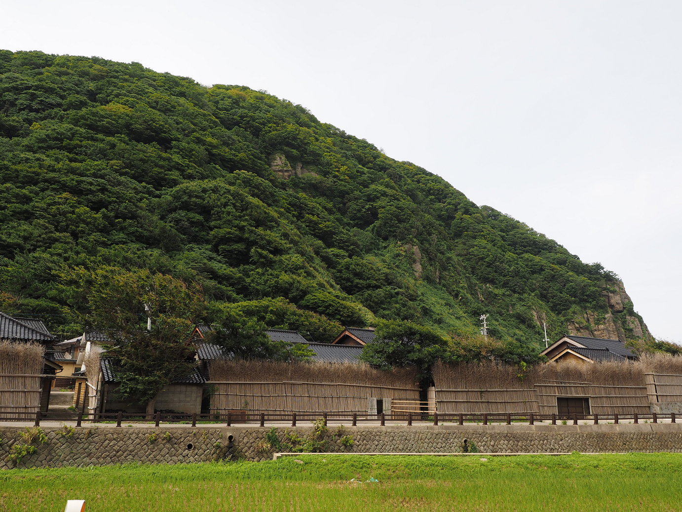 P9160517.jpg