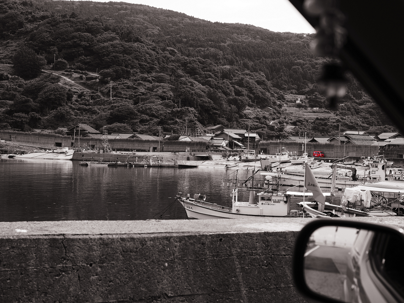 P9160518-.jpg