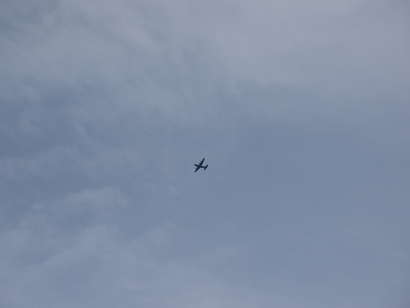 P9160519.jpg