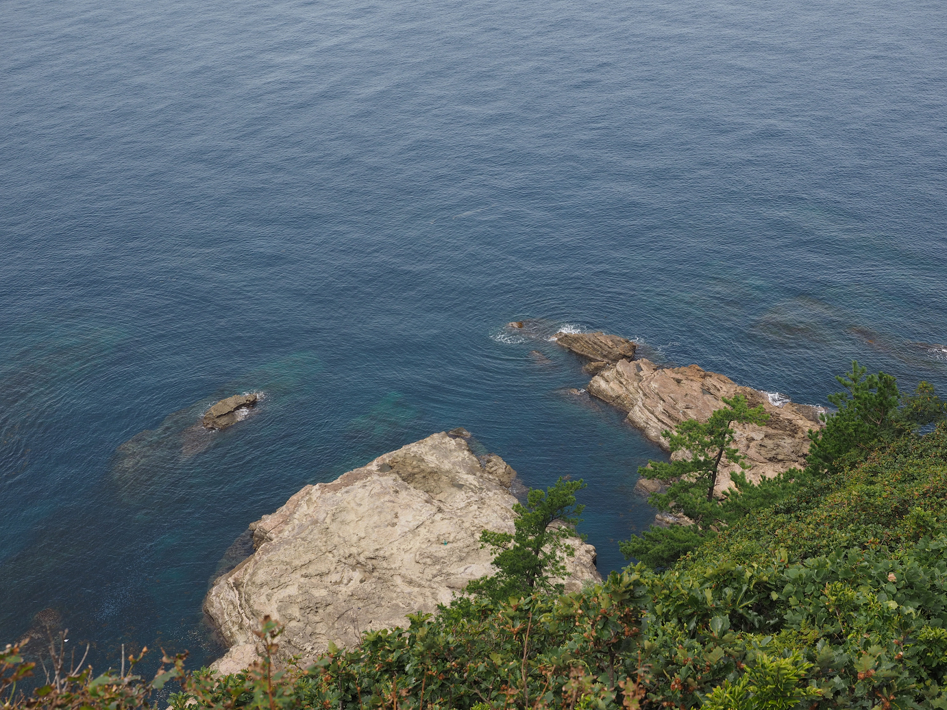 P9160520.jpg