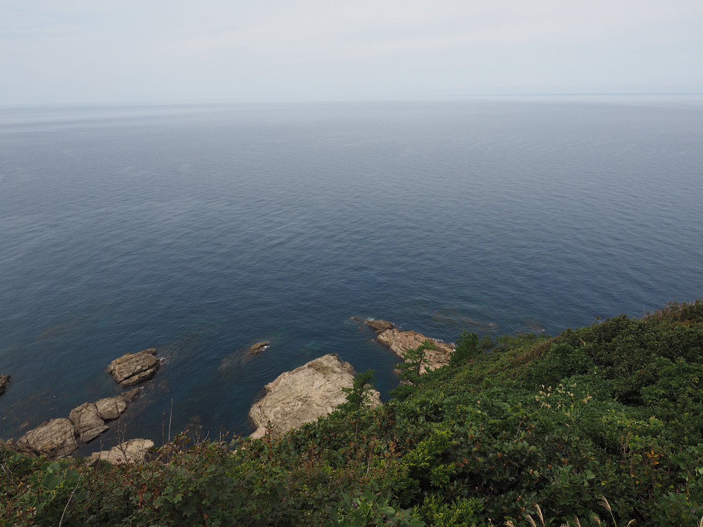 P9160521.jpg