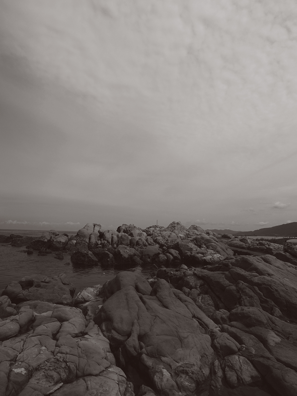 P9160540.jpg