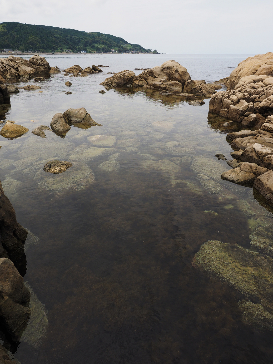 P9160541.jpg