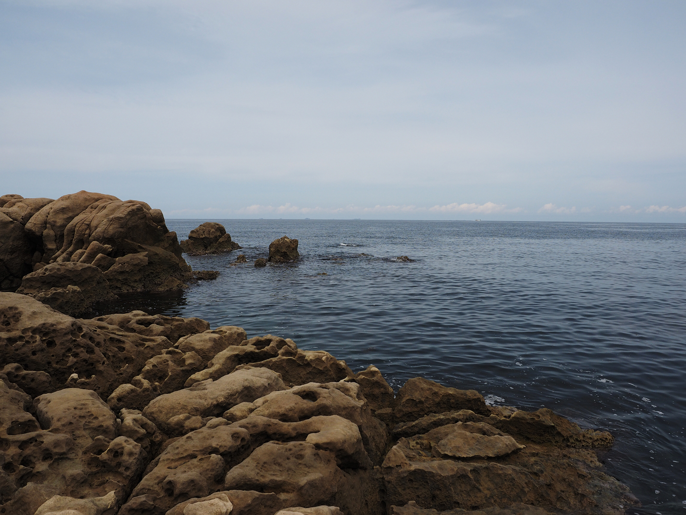 P9160542.jpg
