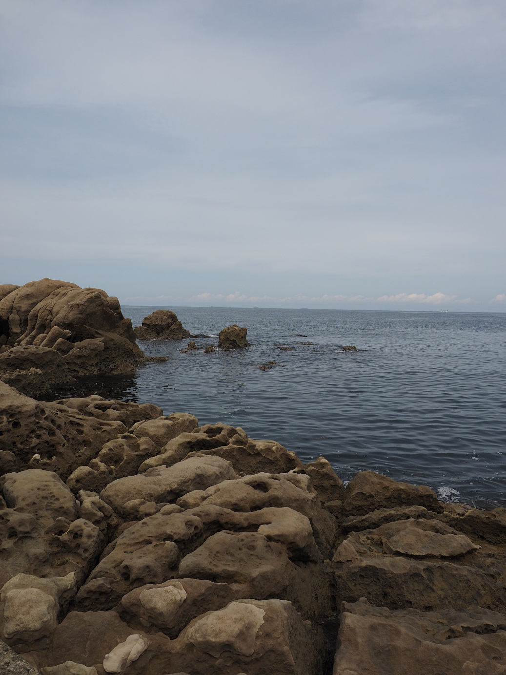 P9160544.jpg