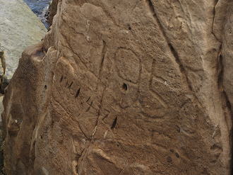 P9160546_thumb.png