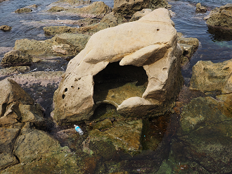 P9160547_thumb.png