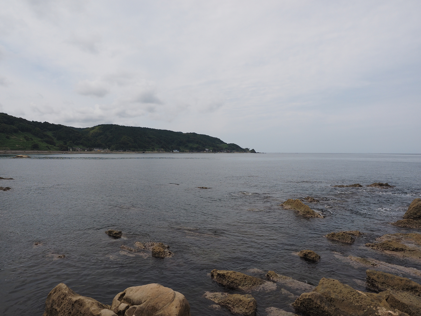 P9160550.jpg