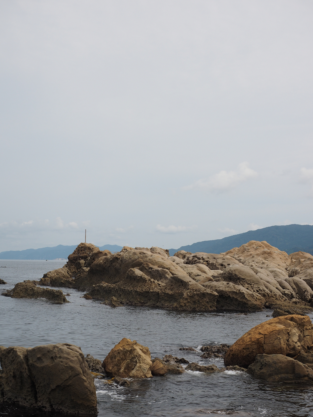 P9160558.jpg