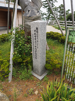 P9160606_thumb.png