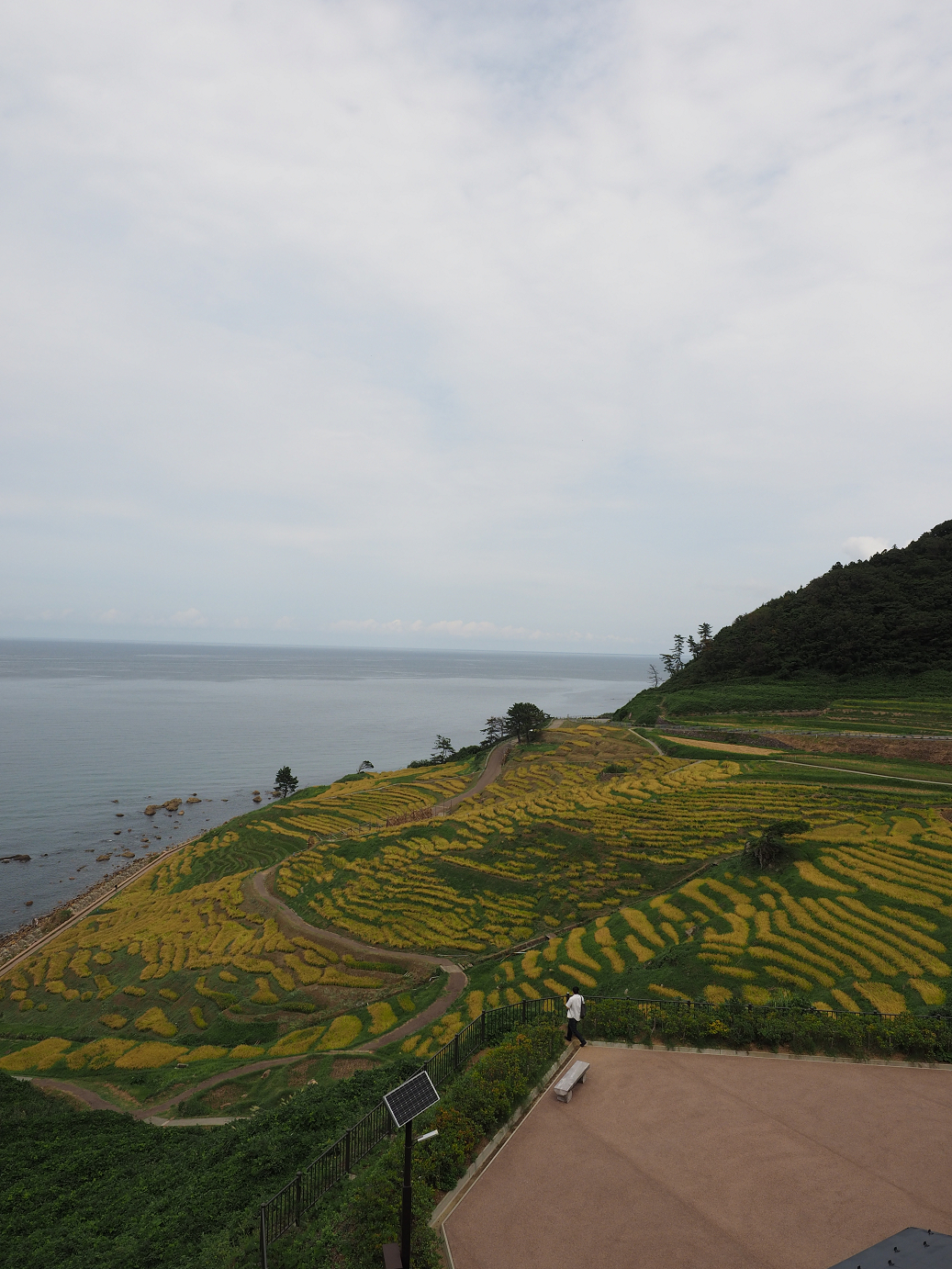 P9160610.jpg