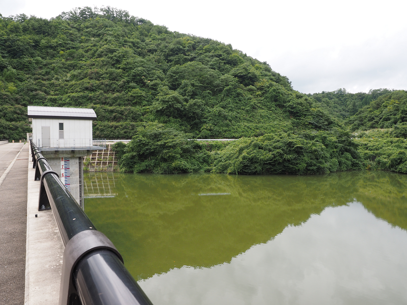 P9160627.jpg