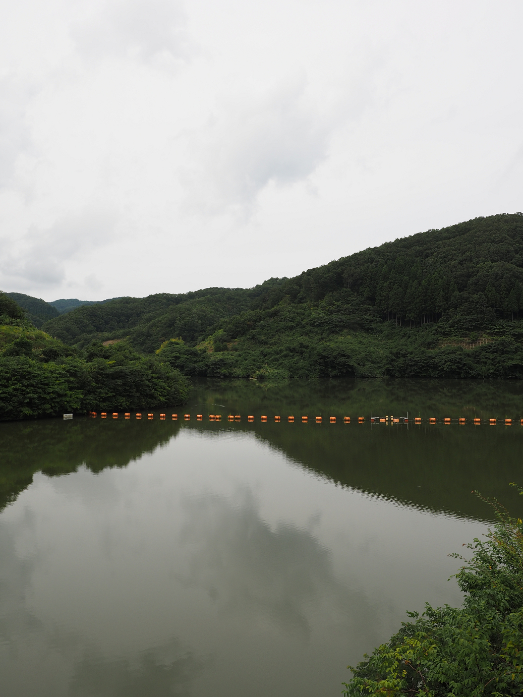 P9160630.jpg