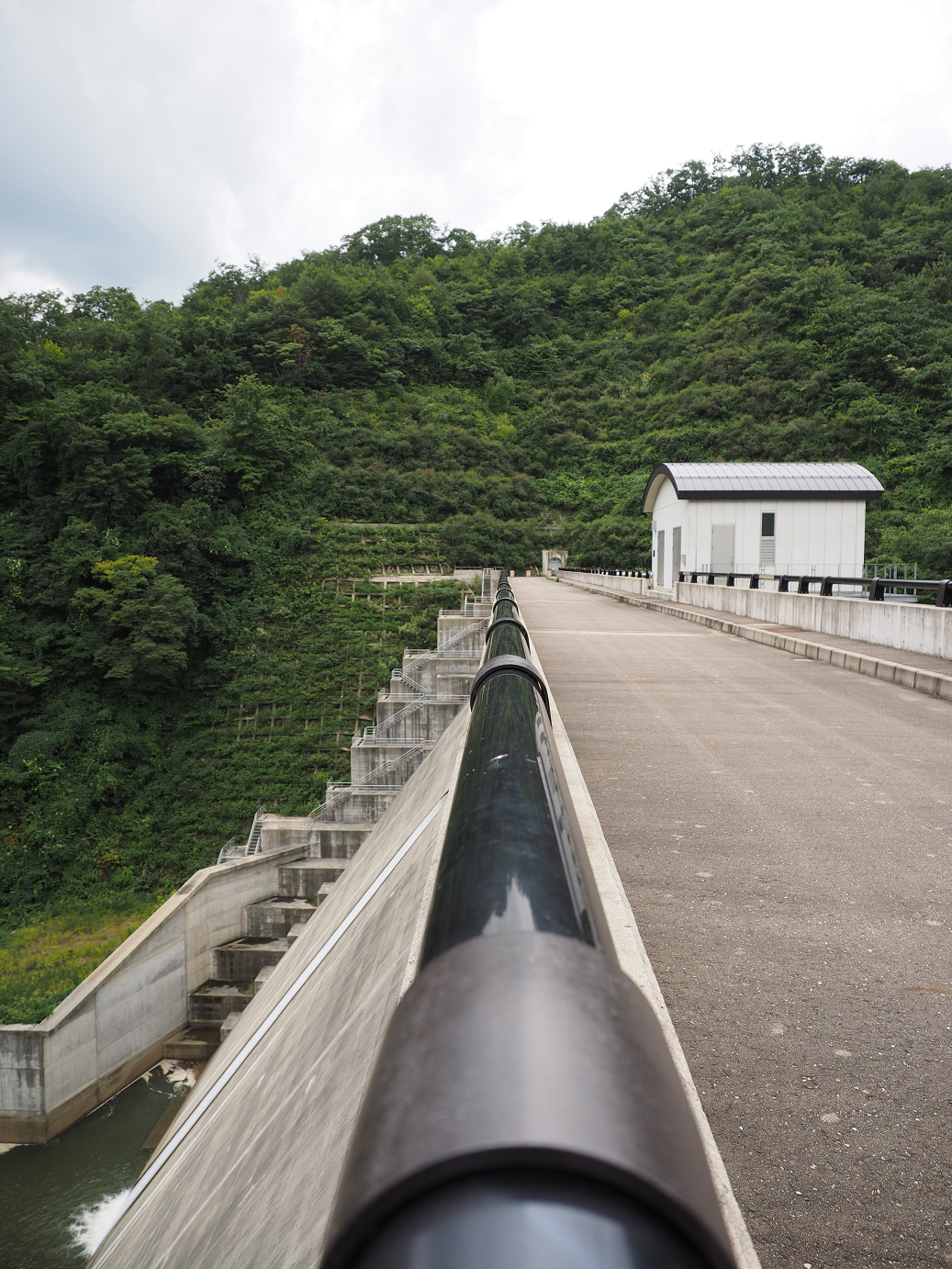 P9160631.jpg
