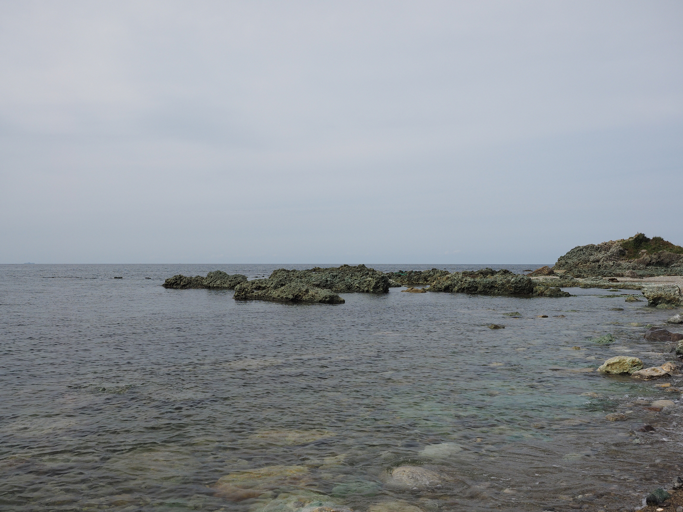 P9160641.jpg