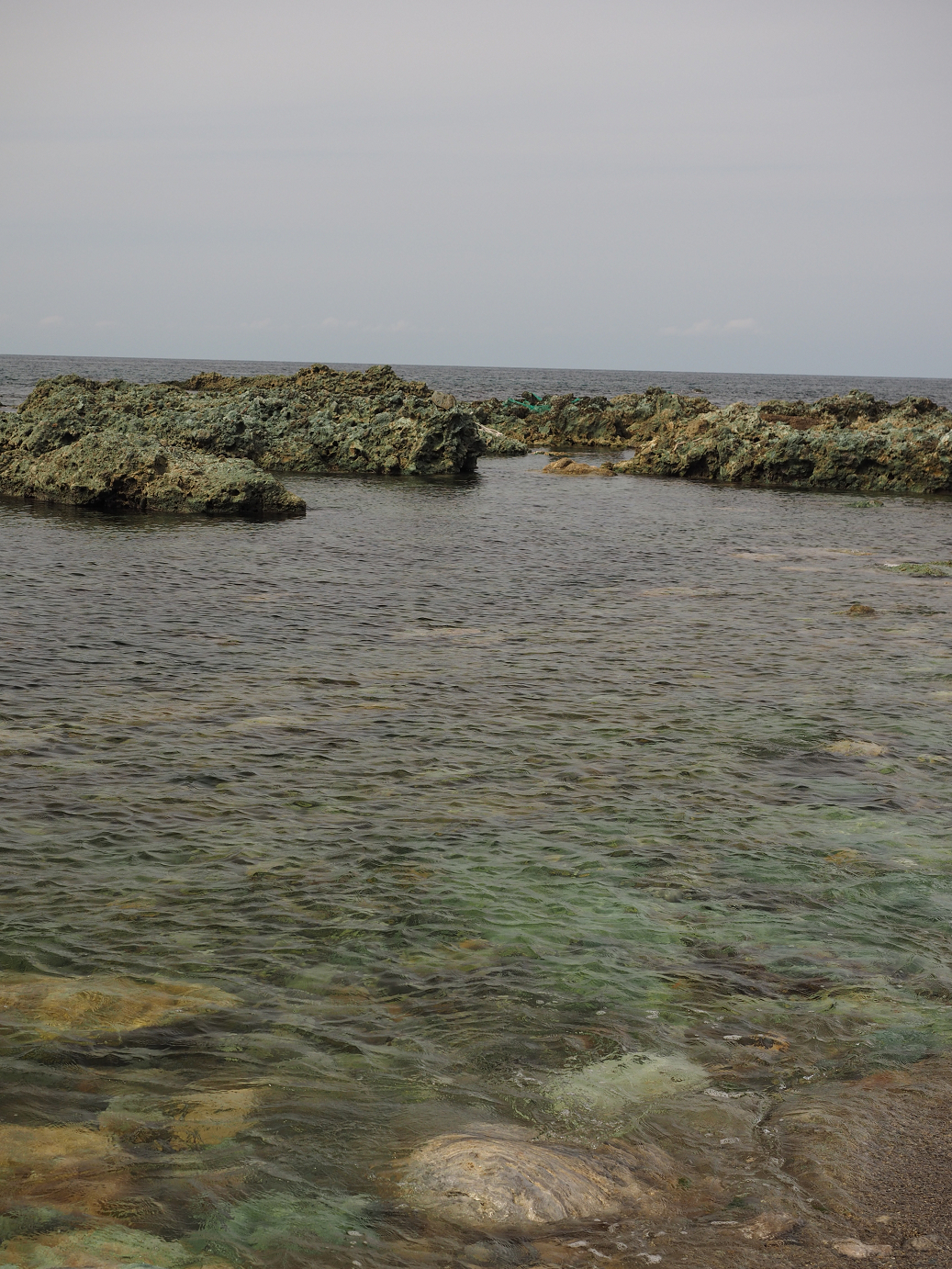 P9160646.jpg