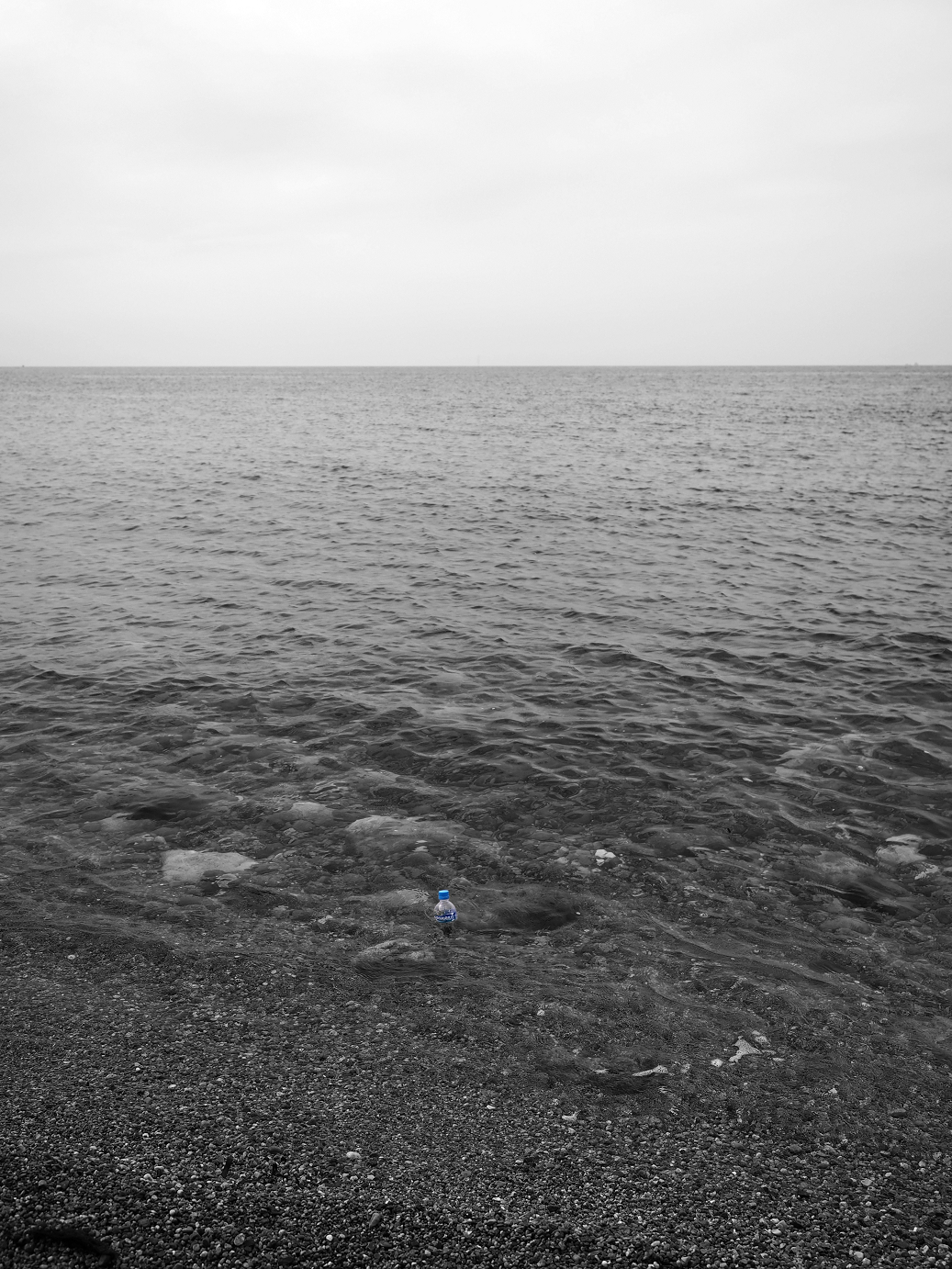 P9160664.jpg
