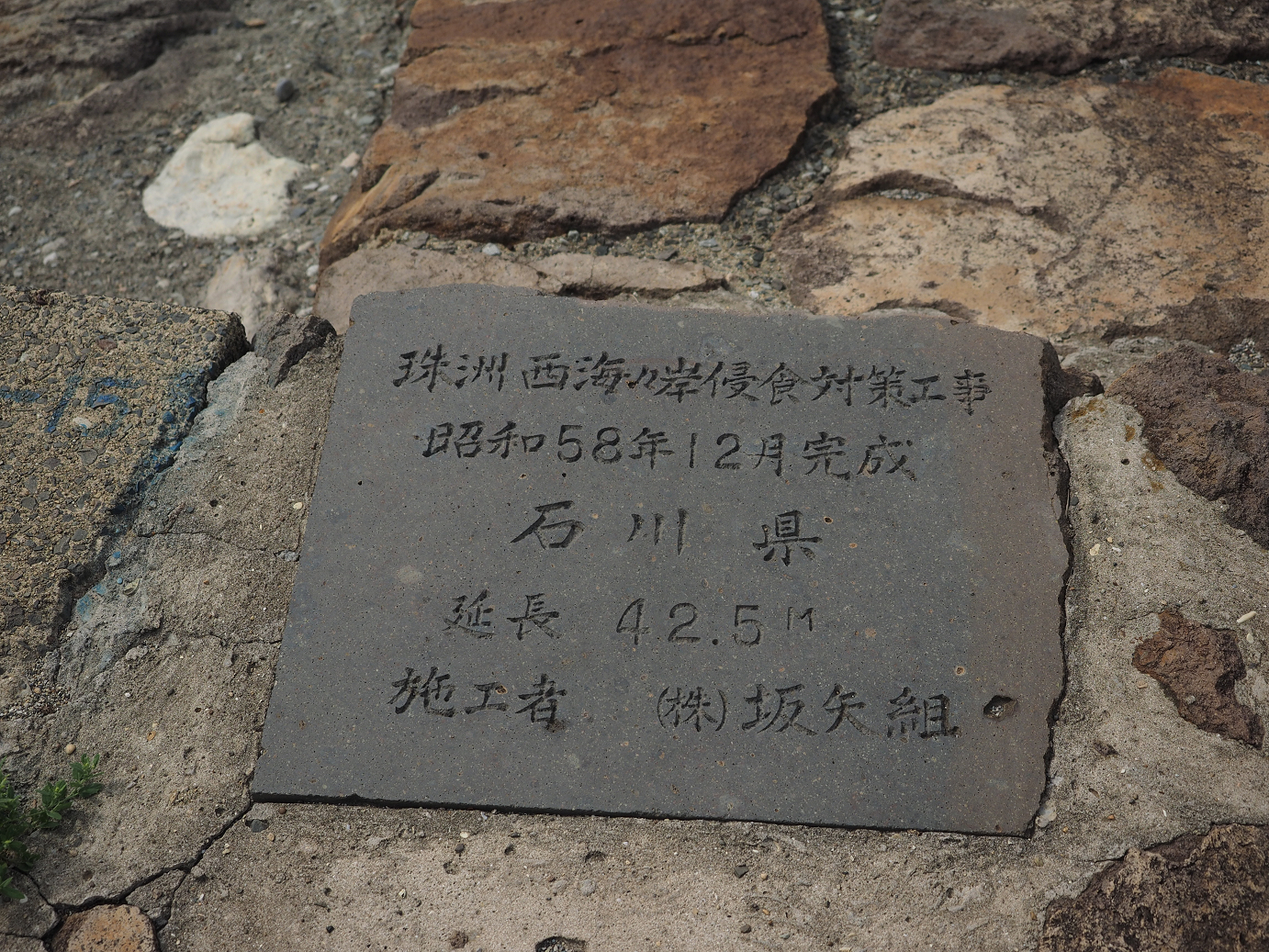 P9160681.jpg