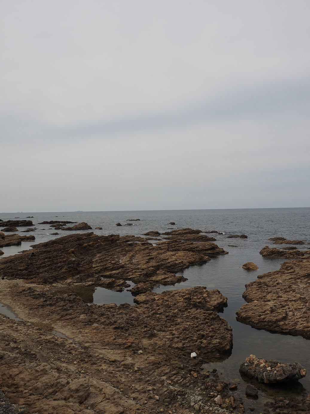 P9160728.jpg